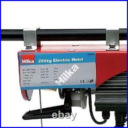 Electric Lifting Hoist 250kg For Workshop Garage